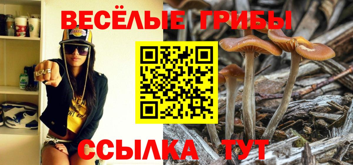 Галлюциногенные грибы GOLDEN TEACHER  Галлюциногенные грибы Cubensis  Вход с VPN  Зеленогорск 
